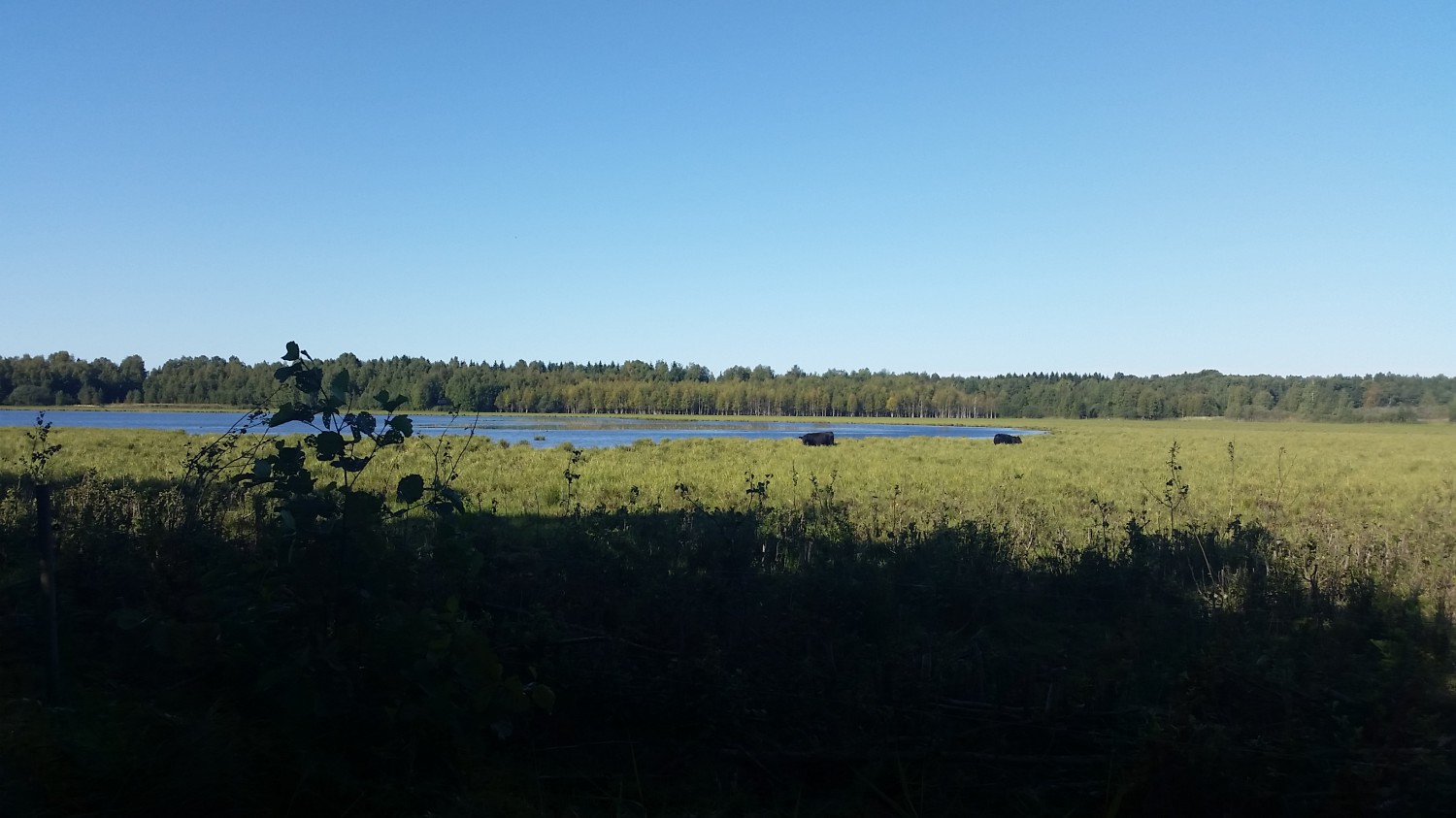 20140827_095958